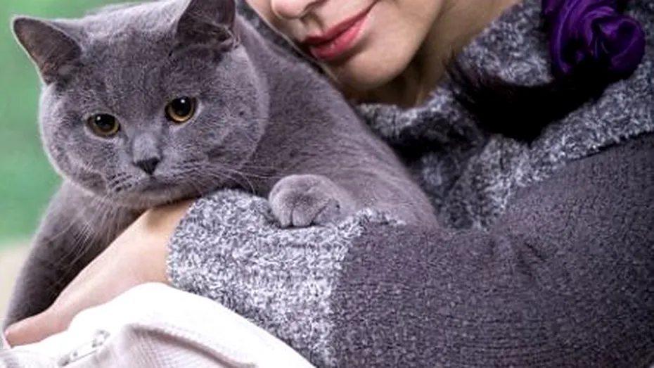 Toxoplasmoza în sarcină: cum se transmite parazitul, simptome, analize necesare şi tratament
