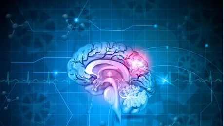 Prof. dr. Necmettin Pamir: cum se tratează cancerul cerebral